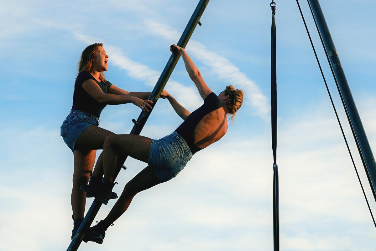 Fotografia La Fauvette